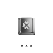 ASCII + Salvun keycap