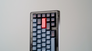 Bauer Lite