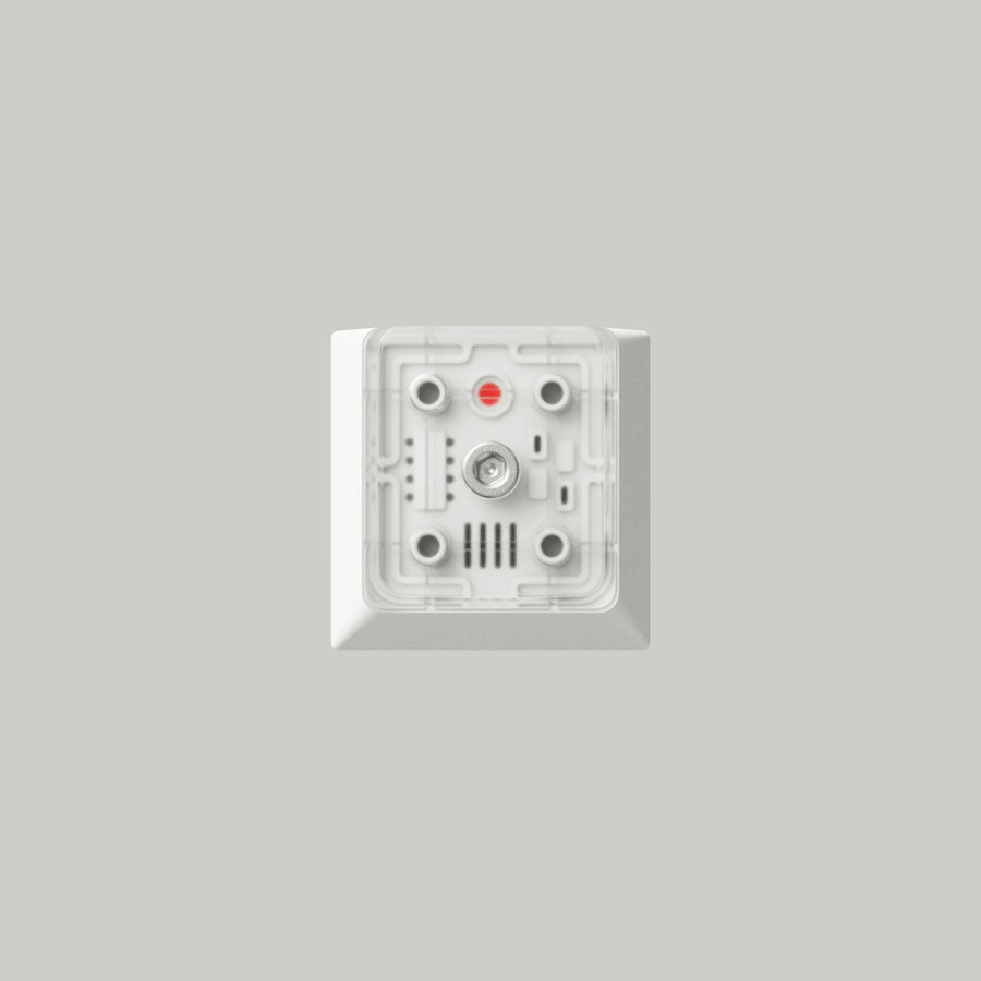separate1-renders