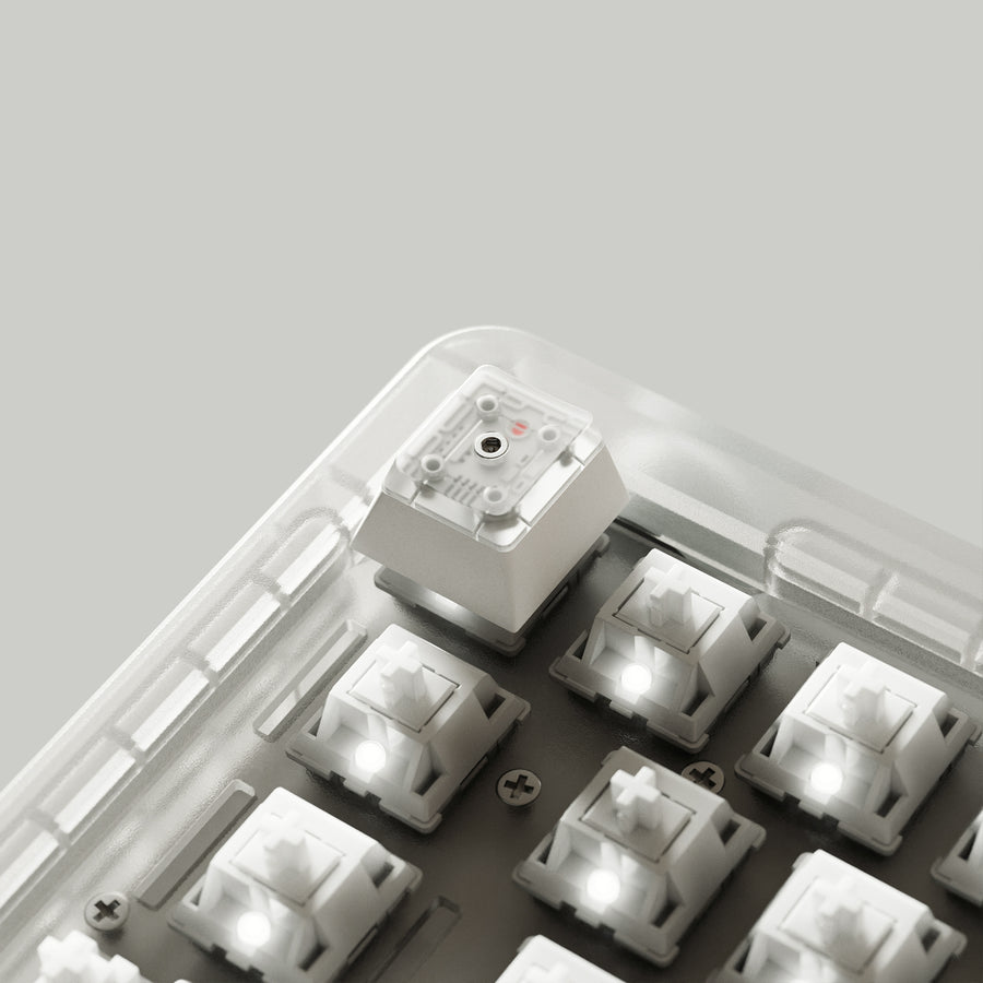 separate1-renders