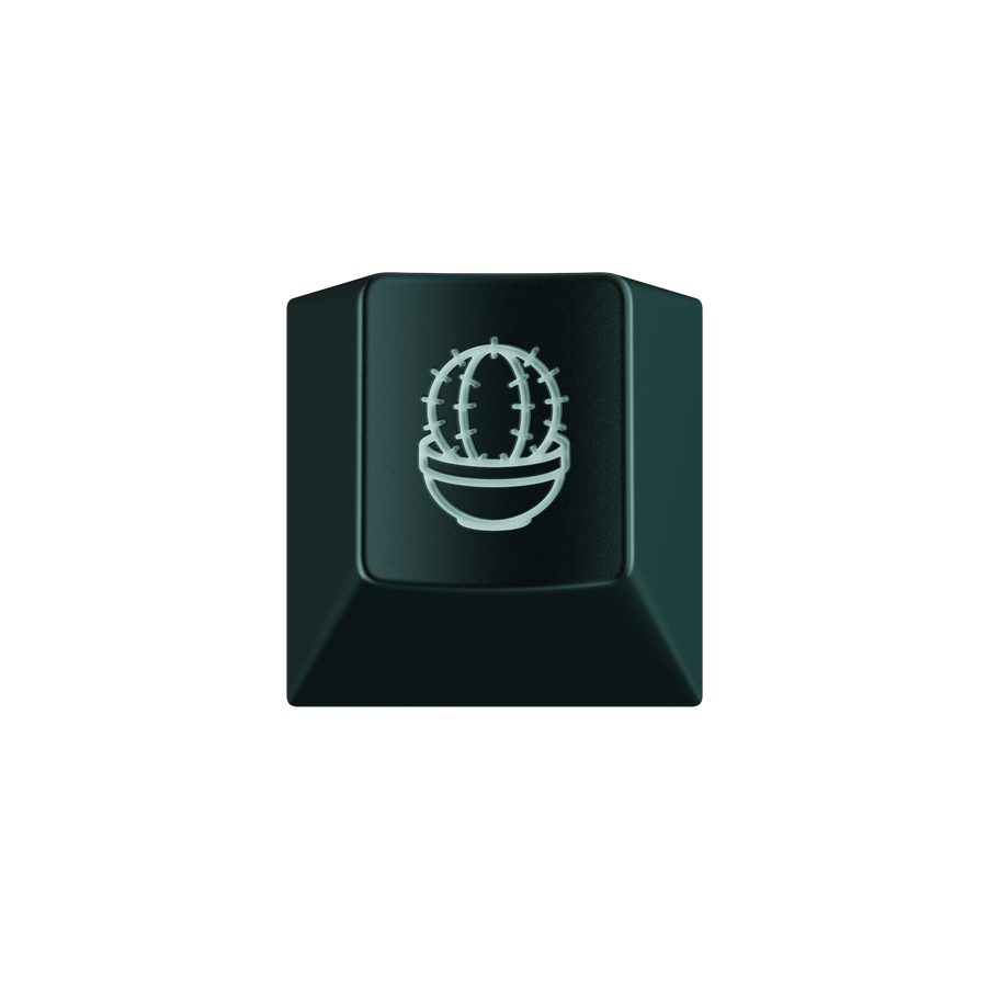 Botanical & HIBI Keycap